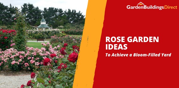Rose Garden Ideas to Achieve a Bloom-Filled Yard