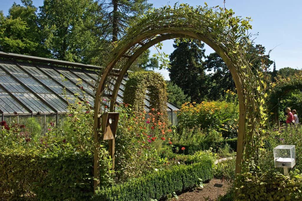 Arbour with trellis and raised bed
