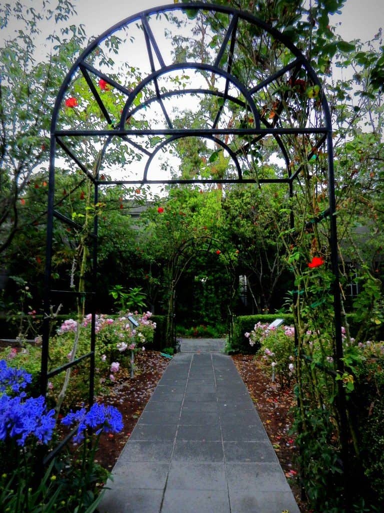Metal rose garden arch