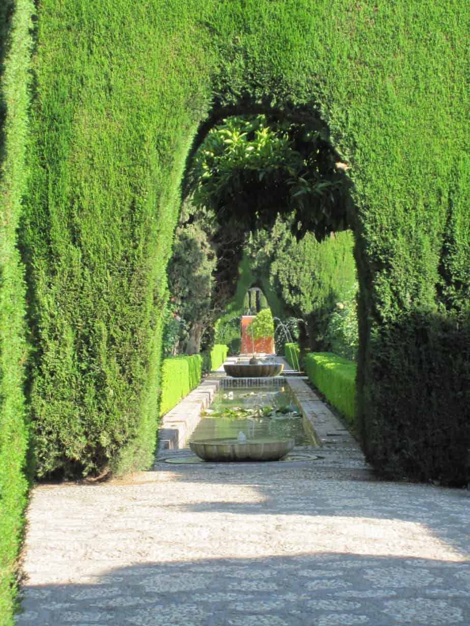 Narrow hedge archways