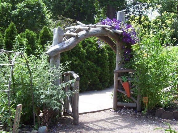 Tree arbour with Clematis