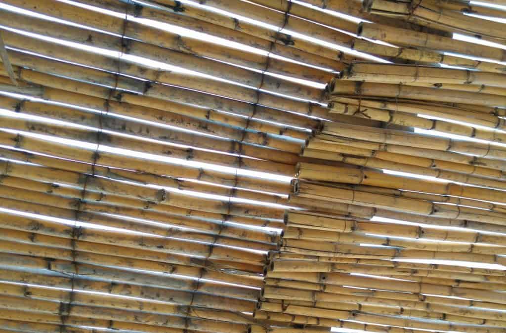 DIY bamboo canopy