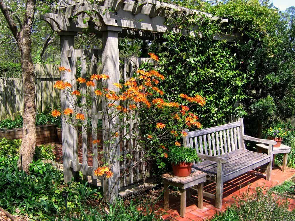 Garden wooden trellis screening with matching bench