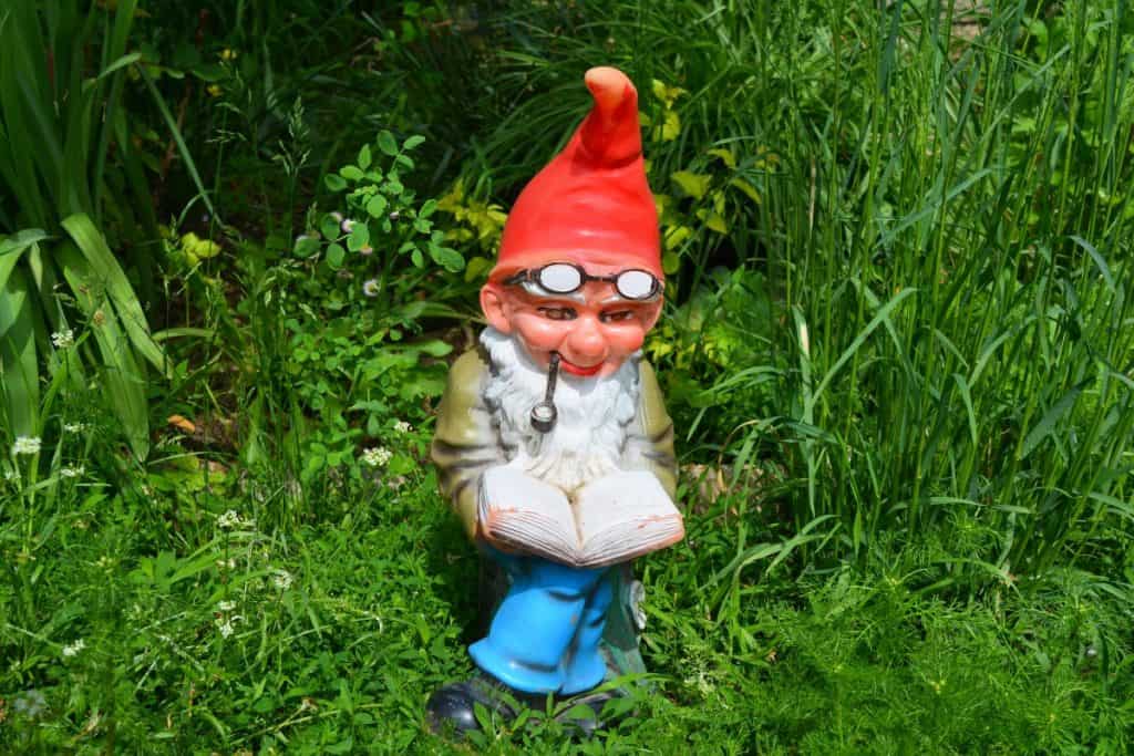 Reading gnome