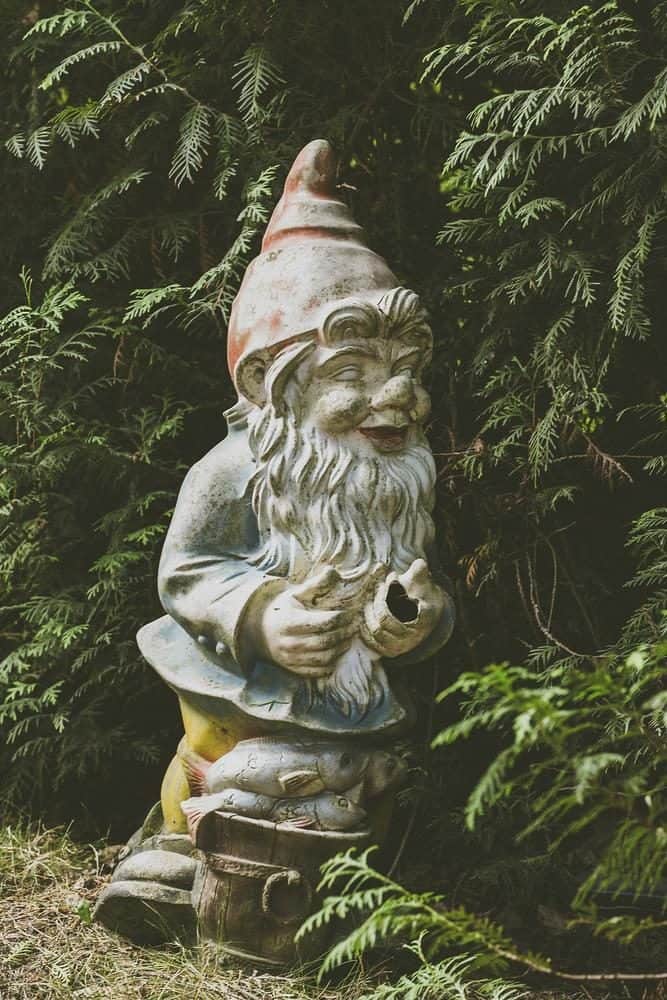 Old garden gnome statue