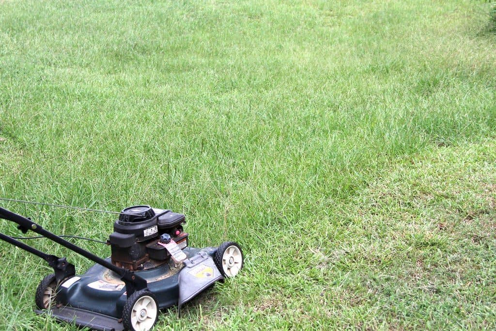A mower mowing a lawn