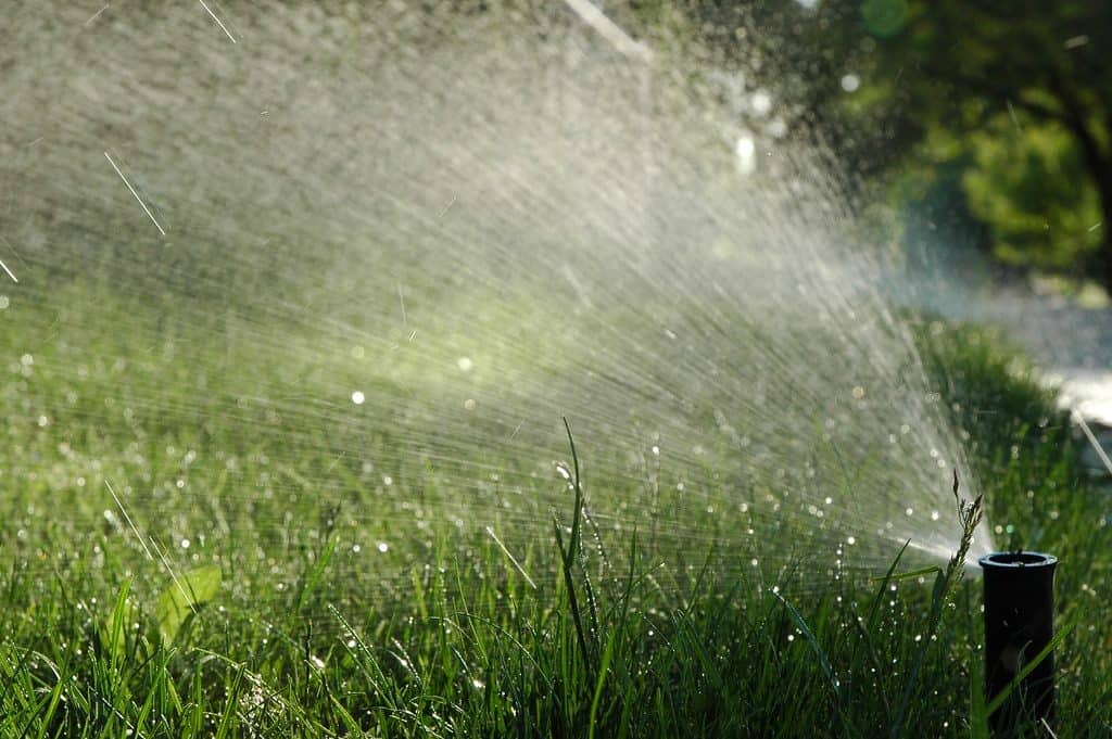 A sprinkler watering the lawn