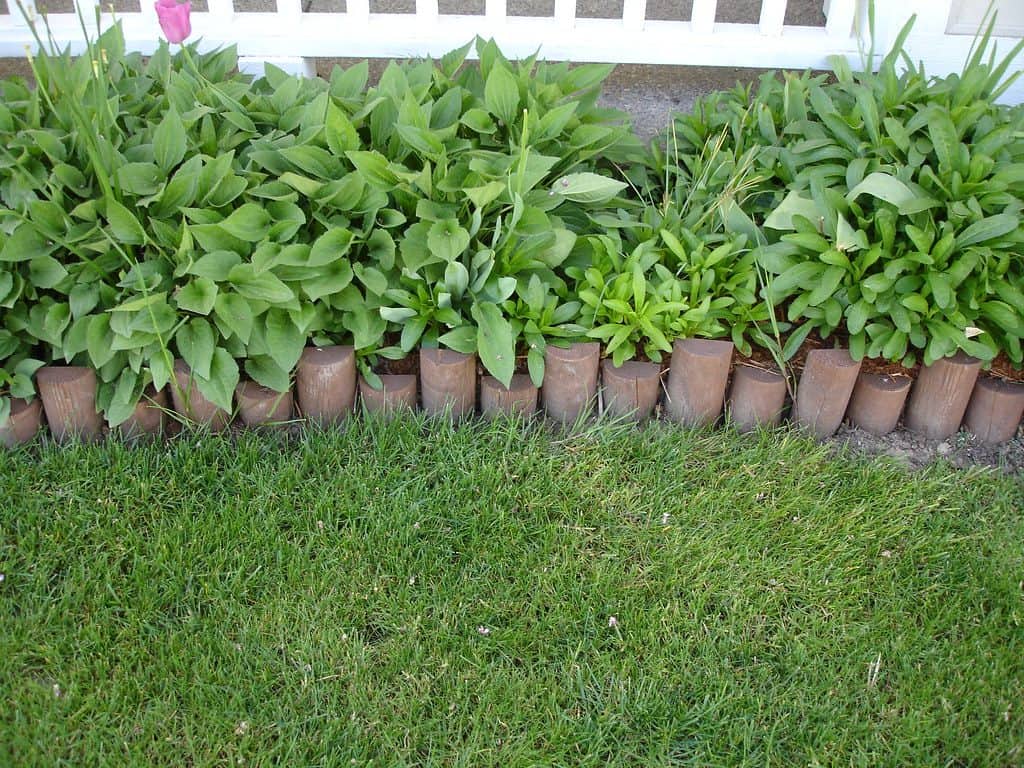 Garden edges with bricks