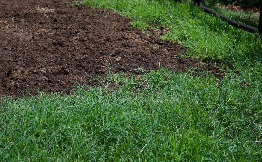 Compost top dressed on the lawn