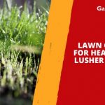 Lawn Care Ideas for a Healthier Landscape