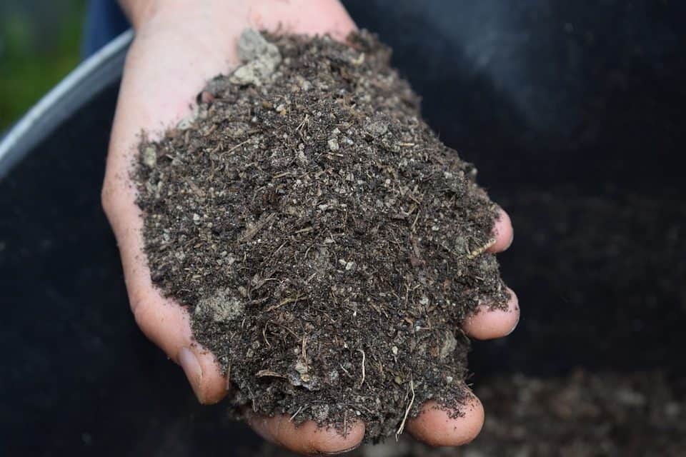 A man holding mulch in his hand