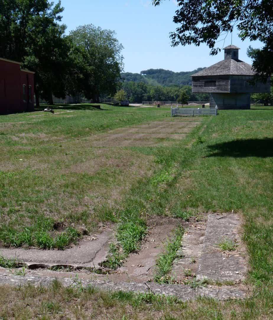 Bare lawn patches in a large garden