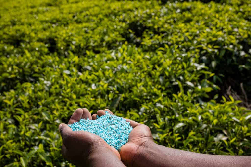 A person holding a lawn fertiliser.