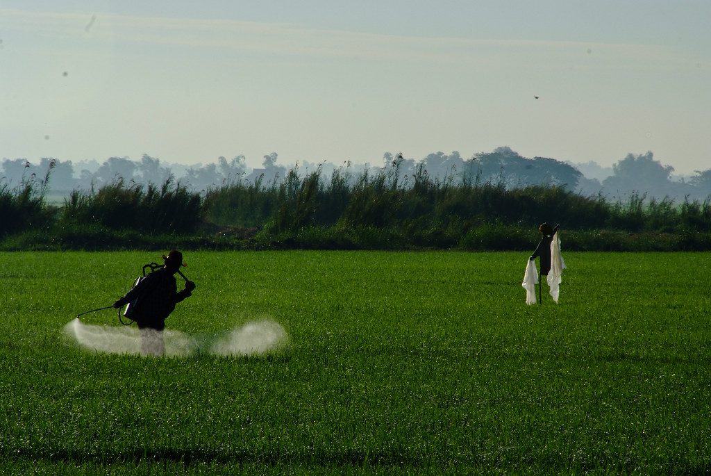 A farmer spraying herbicides in a large field