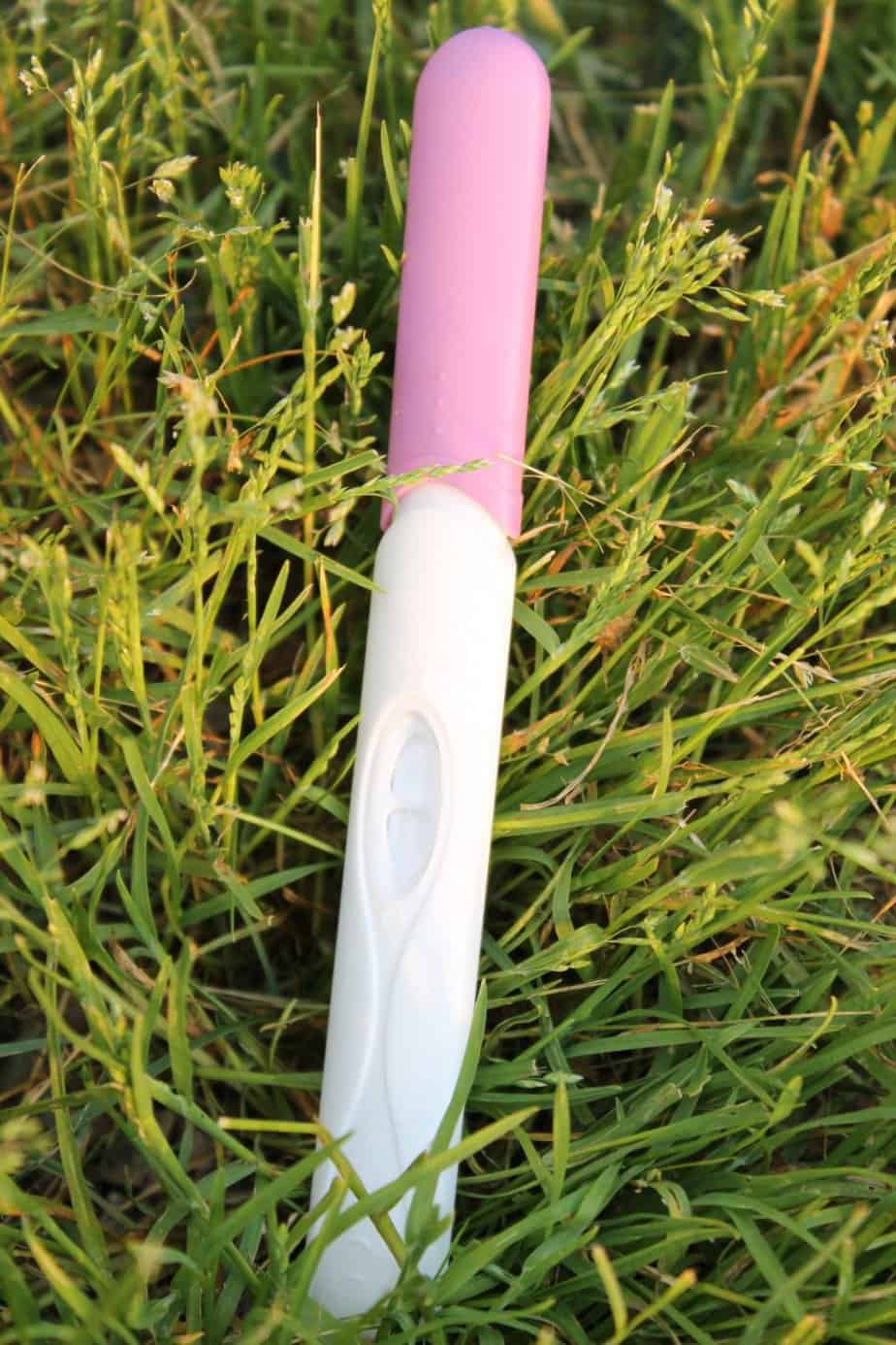 Soil tester kit lying in grass