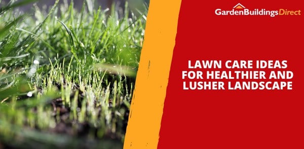 Lawn Care Ideas for Healthier and Lusher Landscape