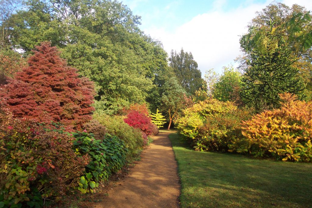 Harris Garden Autumn Bank