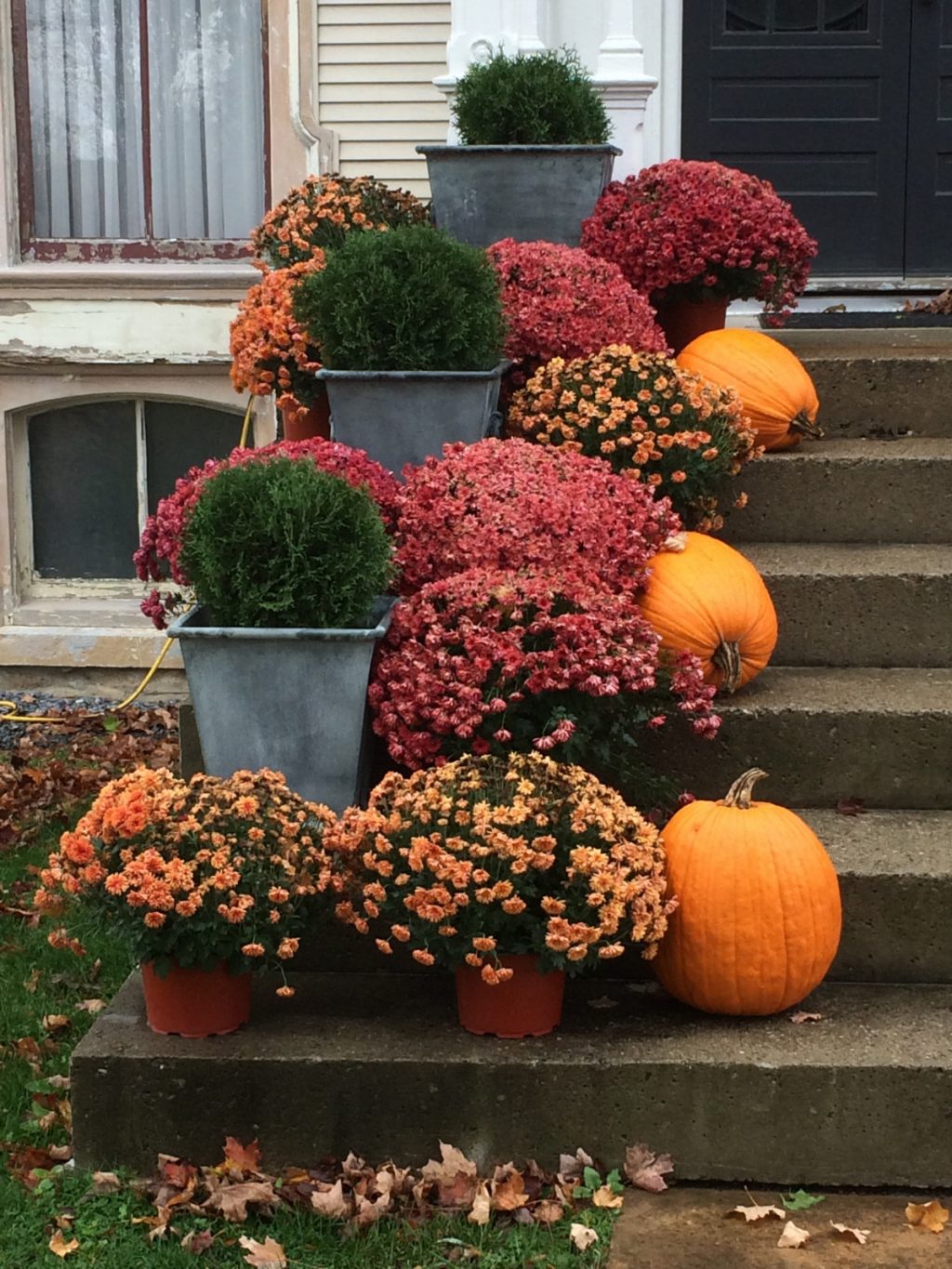 Front garden with pumpkins on the stairs