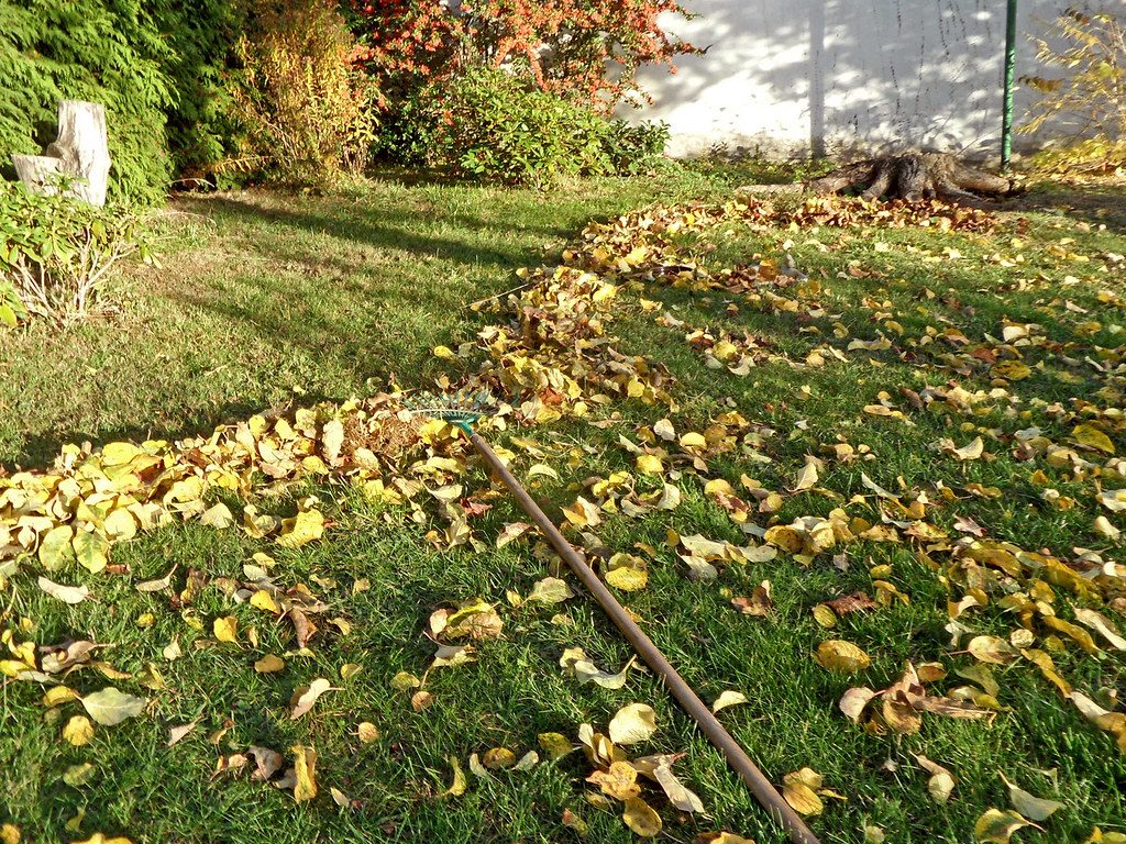 Autumn gardening