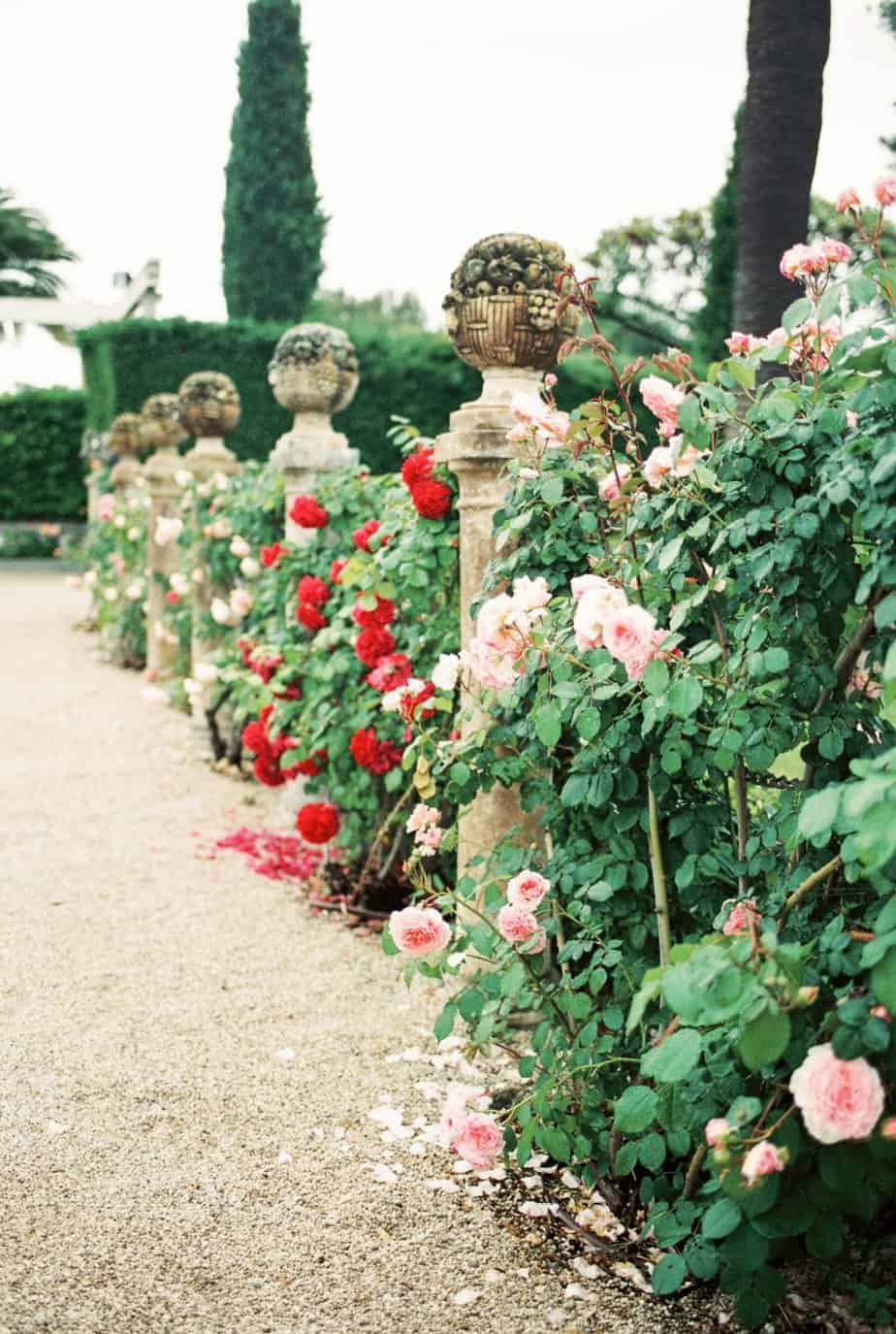 beautiful rose gardens