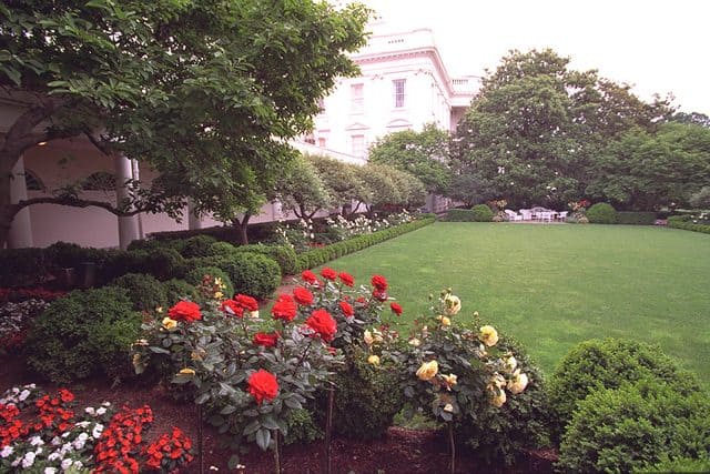 The Rose Garden of the White House