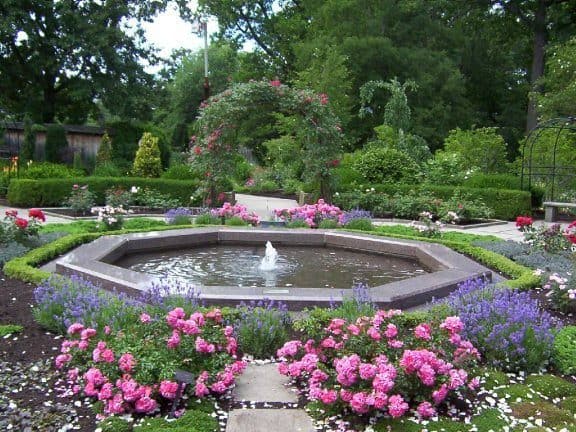 Roses surrounding a garden fountain