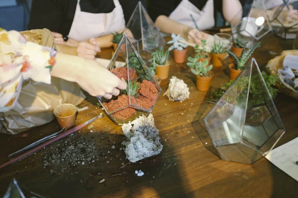 Gardeners transferring succulents inside terrariums