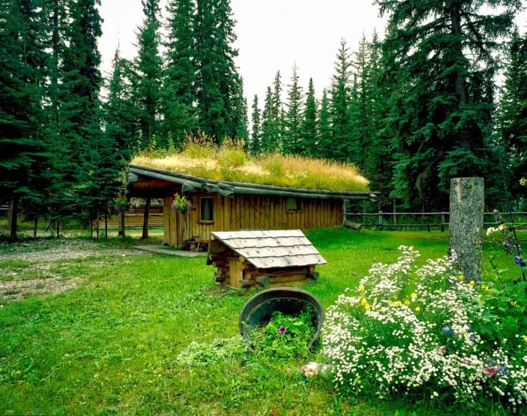 Mini log cabin with green roof