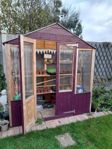 A wooden greenhouse painted maroon with one door open to view growing shelves inside.