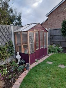 A maroon wooden greenhouse in a residential garden.