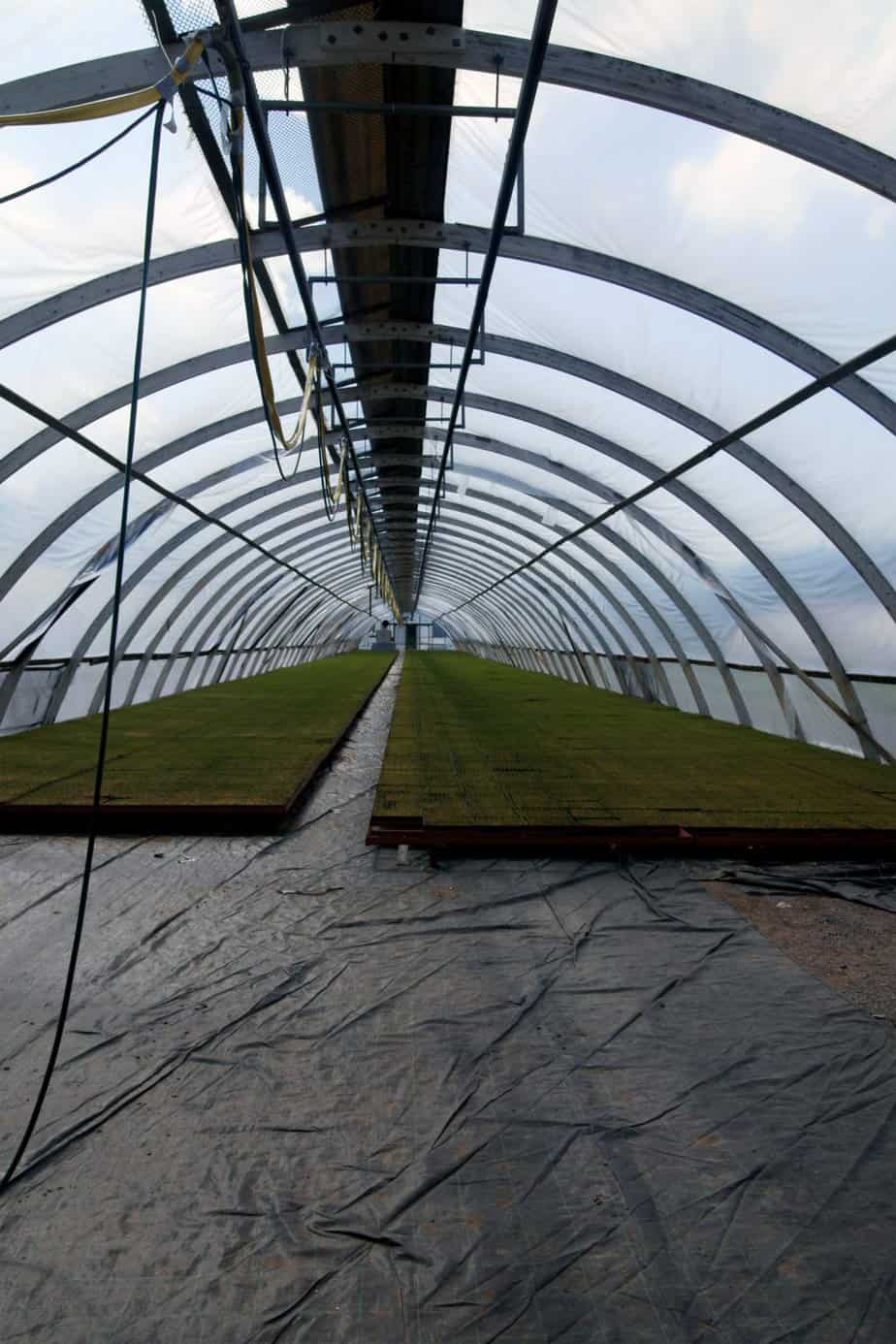 Polytunnel greenhouse flooring installation