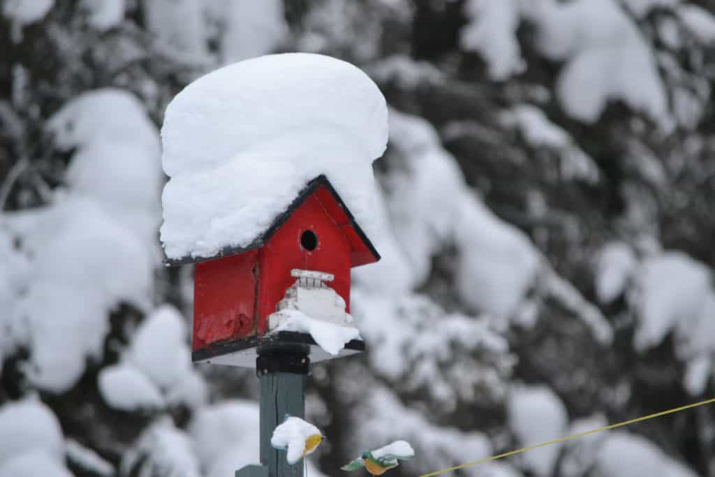 Red bird house and feeder with roof covered in snow