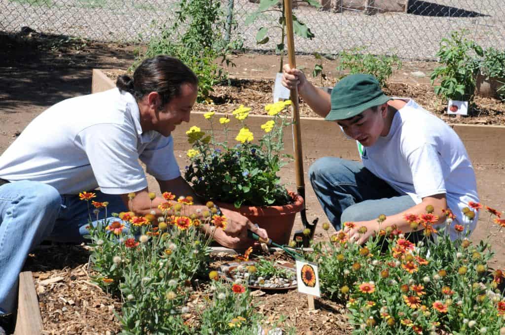 Two volunteers at a community garden