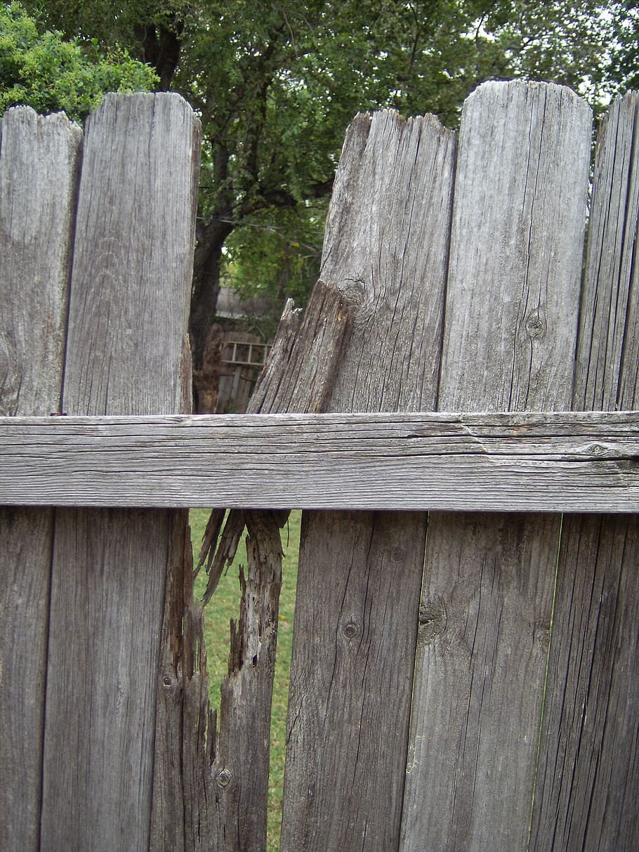 Broken wooden garden fence