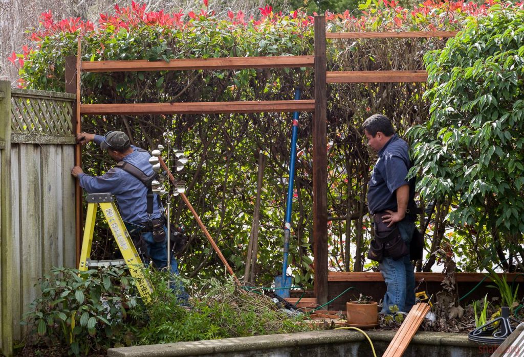 Professional at work with a garden fence