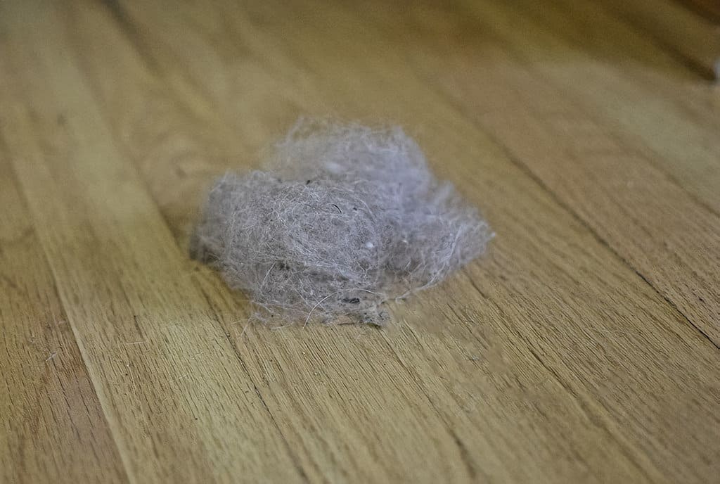 A ball of accumulated dust, debris, and hair from the floor after vacuuming.
