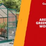 Are Cheap Greenhouses Worth It?
