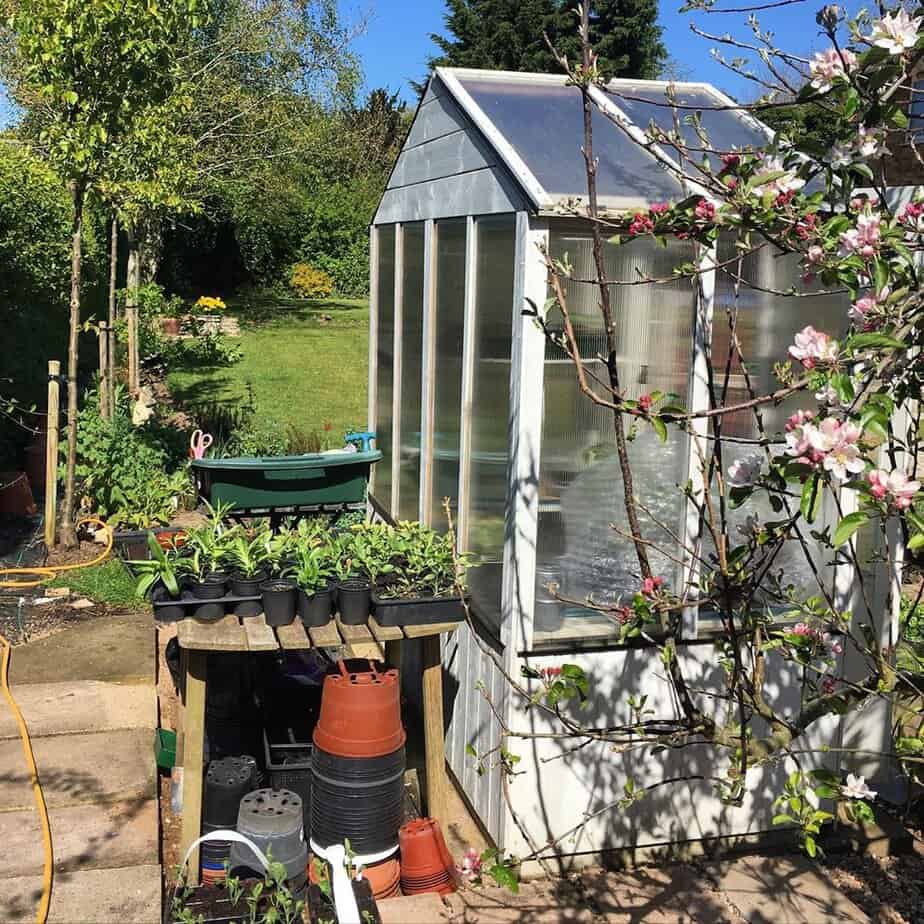 BillyOh Customer Image of a Greenhouse