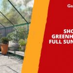 Should a Greenhouse be in Full Sun or Shade?