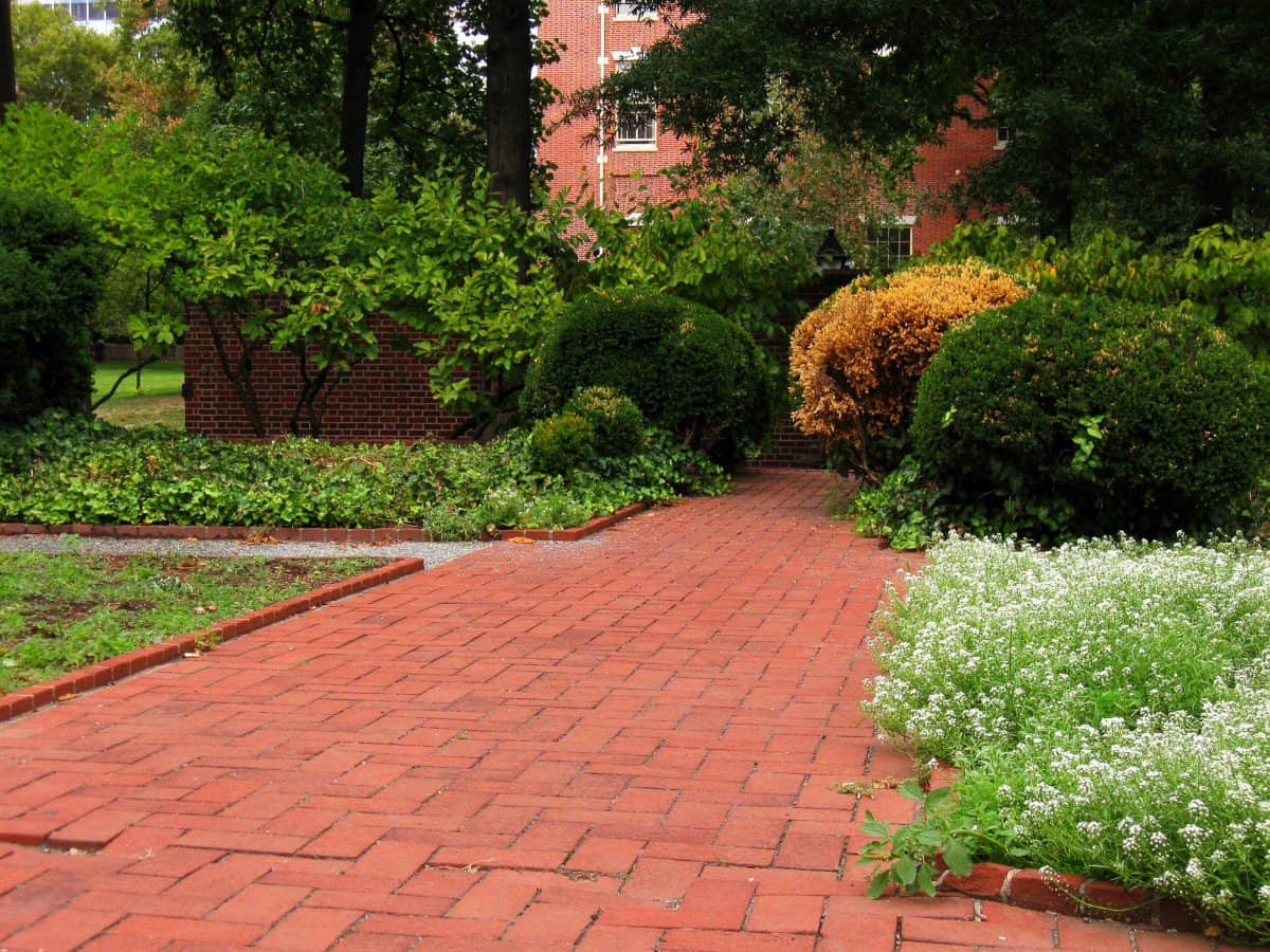 Garden pathway made of bricks
