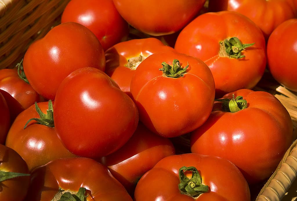 Red tomatoes