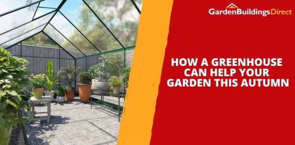 How a Greenhouse Can Help Your Garden this Autumn