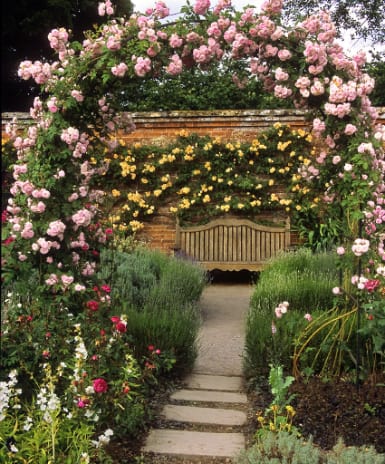 Garden seat framed by rose pergola