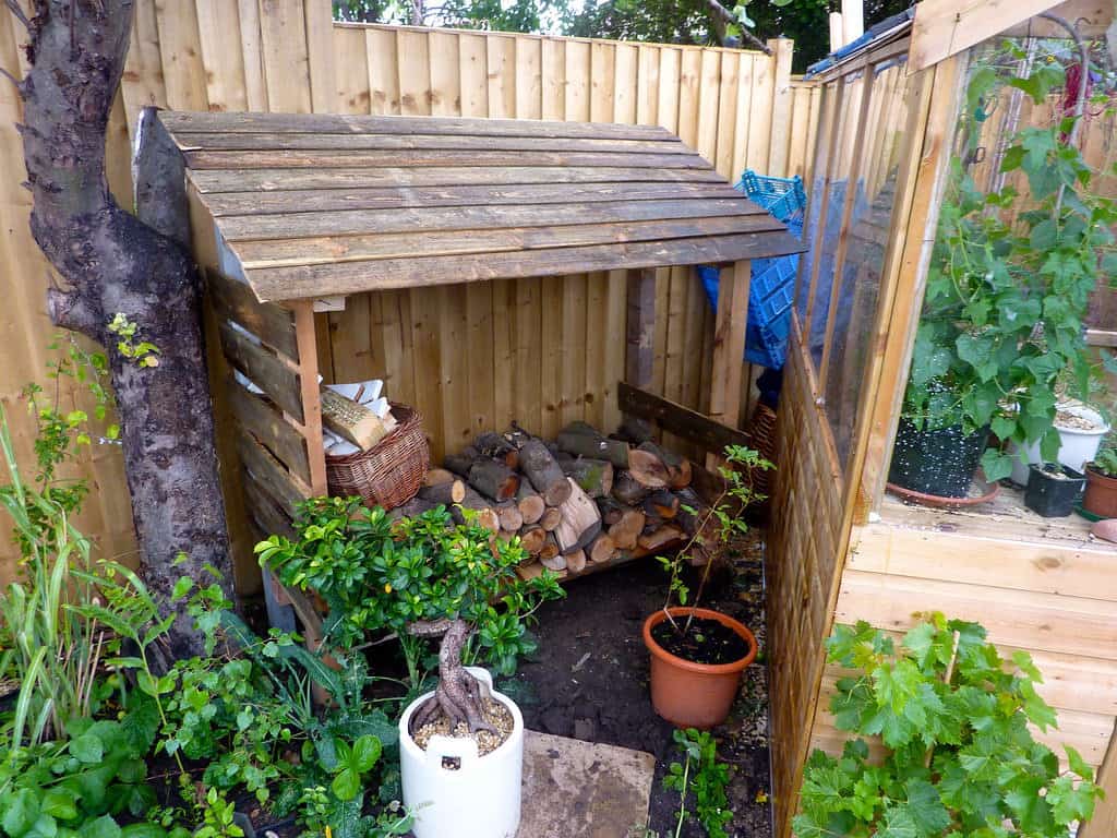 A small wooden log store situated beside a greenhouse