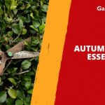 What Are The Autumn Gardening Essentials?