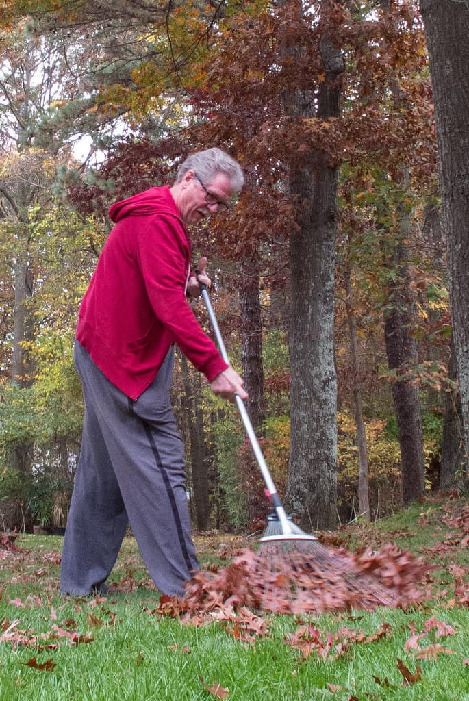 A man raking the fallen leaves in the garden