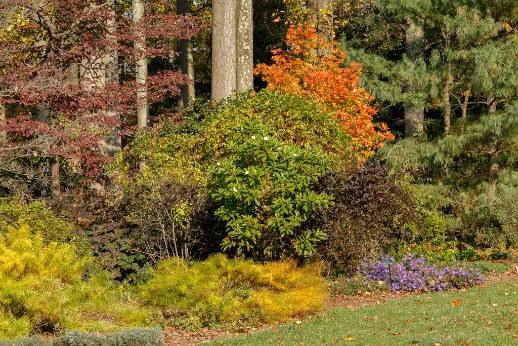 Autumn garden border.