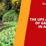 The Ups and Downs of Gardening in Autumn