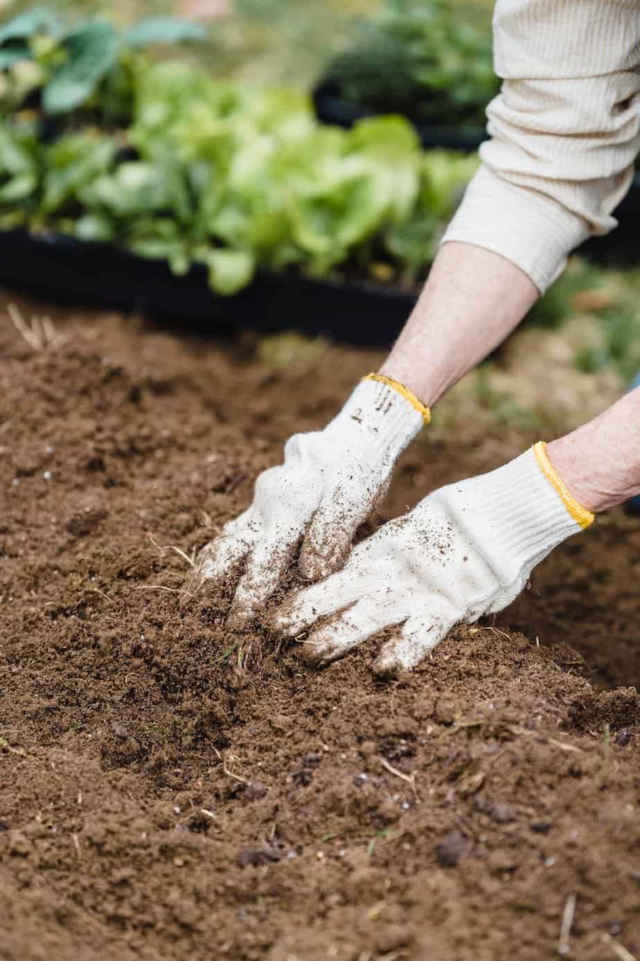 Farmer preparing soil for planting