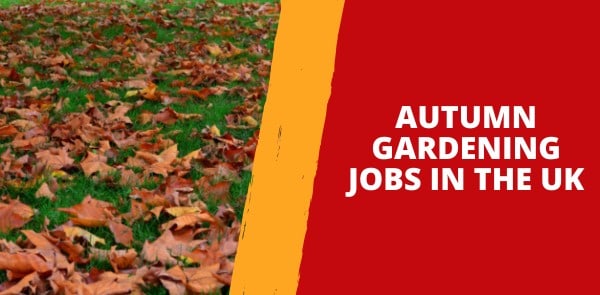 Autumn Gardening Jobs in the UK